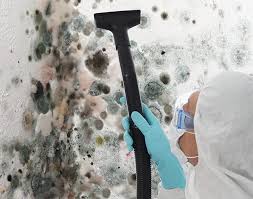 Best Real Estate Mold Inspection  in Claude, TX